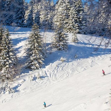 Chic T3 60 M2 Cosy 1 A 6 Personnes Rando, Nature, Bike Park, Station De Ski Le Bonhomme Exterior photo
