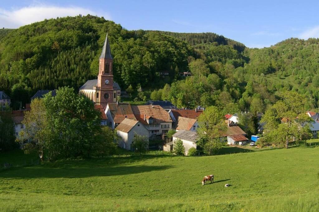 Chic T3 60 M2 Cosy 1 A 6 Personnes Rando, Nature, Bike Park, Station De Ski Le Bonhomme Exterior photo