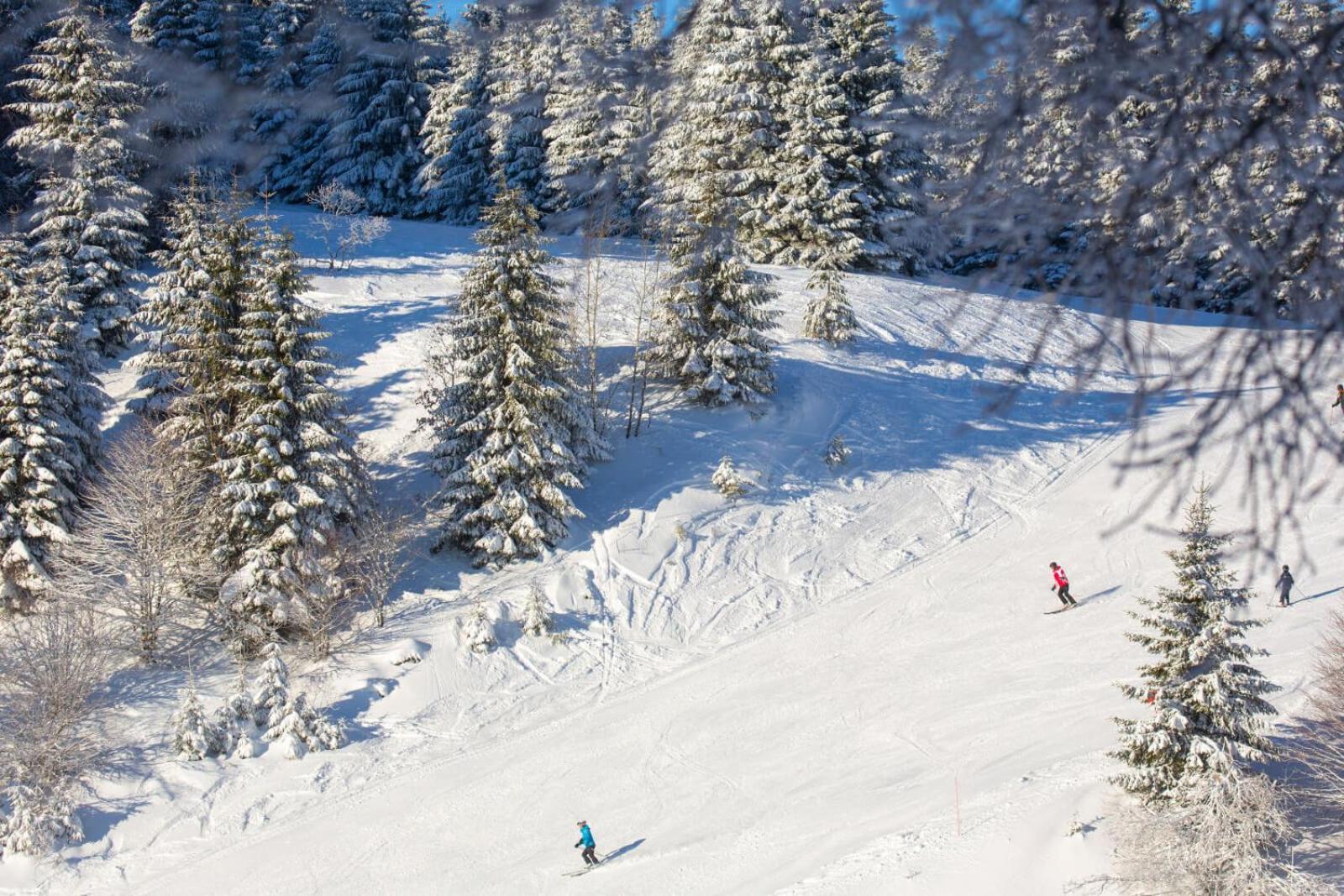 Chic T3 60 M2 Cosy 1 A 6 Personnes Rando, Nature, Bike Park, Station De Ski Le Bonhomme Exterior photo